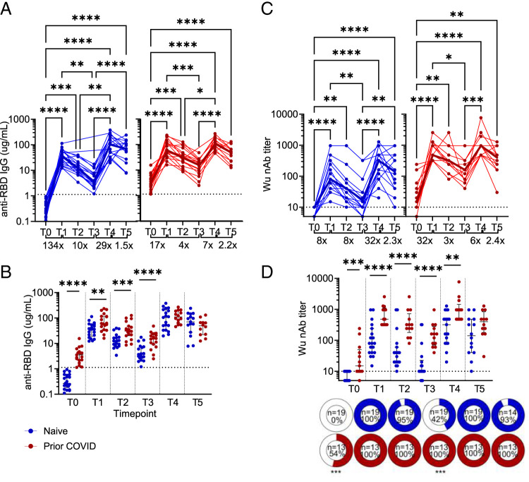 Prior SARS-CoV-2 Infection Enhances Initial mRNA Vaccine Response with a Lower Impact on Long-Term Immunity.