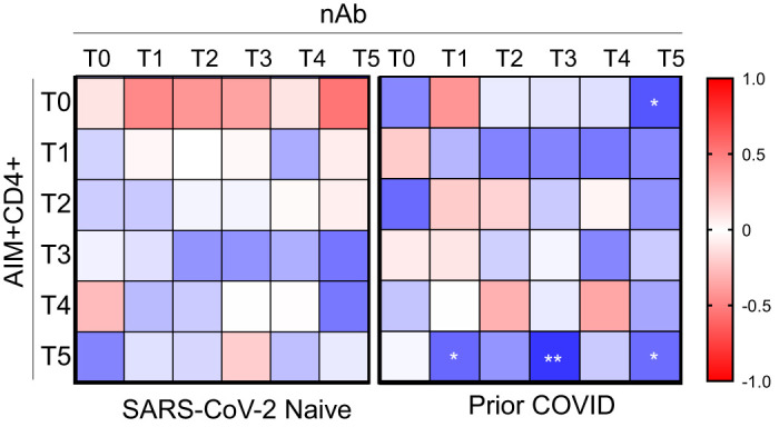 Prior SARS-CoV-2 Infection Enhances Initial mRNA Vaccine Response with a Lower Impact on Long-Term Immunity.