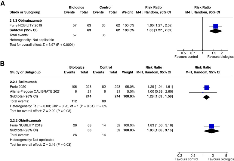 Safety and efficacy of biological agents in the treatment of Systemic Lupus Erythematosus (SLE).