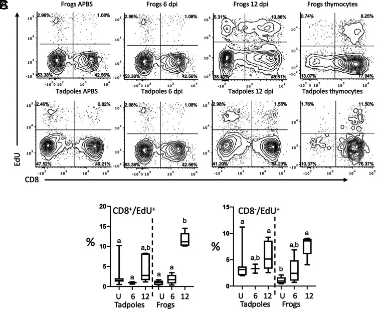 Larval T Cells Are Functionally Distinct from Adult T Cells in Xenopus laevis.