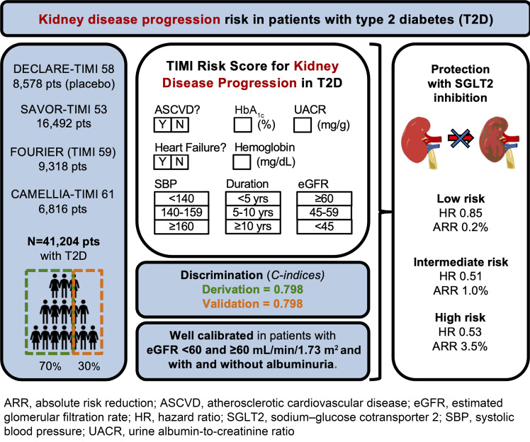 Risk Assessment of Kidney Disease Progression and Efficacy of SGLT2 Inhibition in Patients With Type 2 Diabetes.