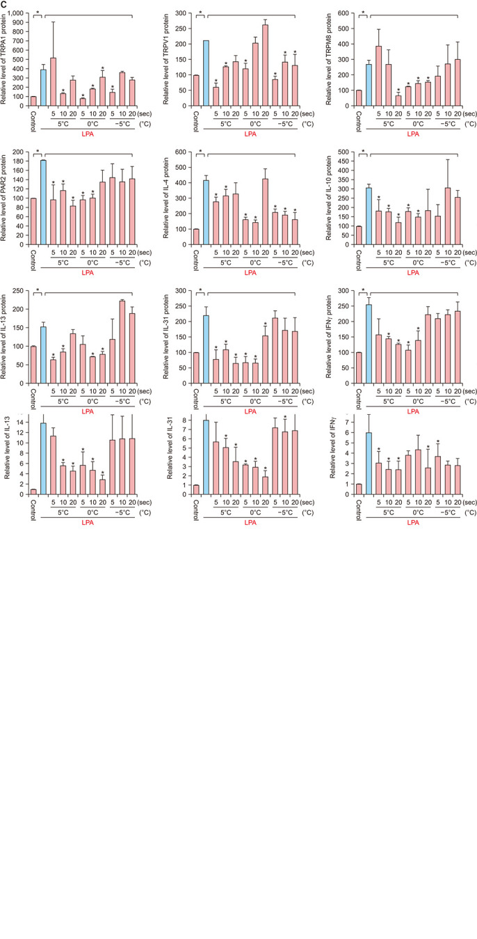 Effect of a Temperature-Adjustable Cryotherapy Device on Mice with Lysophosphatidic Acid-Induced Pruritus.