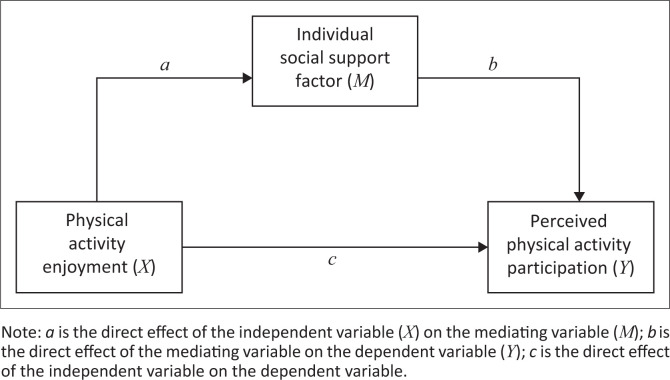 The mediating role of social support in promoting physical activity among children in South Africa.