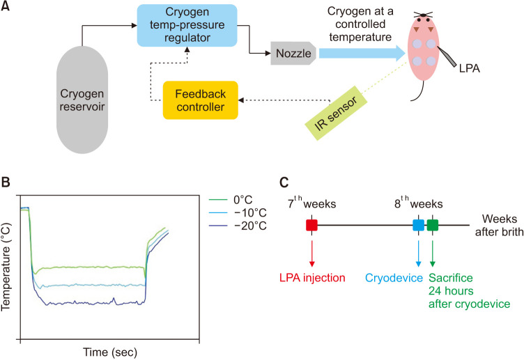 Effect of a Temperature-Adjustable Cryotherapy Device on Mice with Lysophosphatidic Acid-Induced Pruritus.