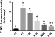 Effects of pharmacological doses of niacin on subacute glucocorticoid-induced testicular damage in rats.