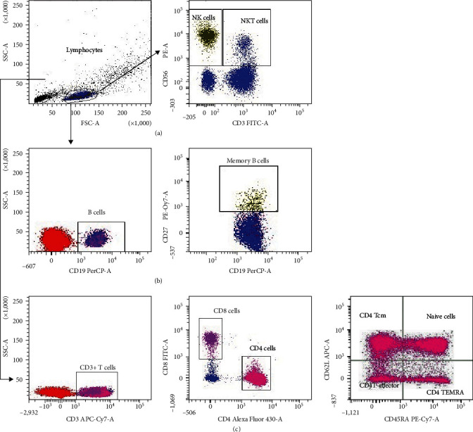 Broadly Reactive SARS-CoV-2-Specific T-Cell Response and Participation of Memory B and T Cells in Patients with Omicron COVID-19 Infection.