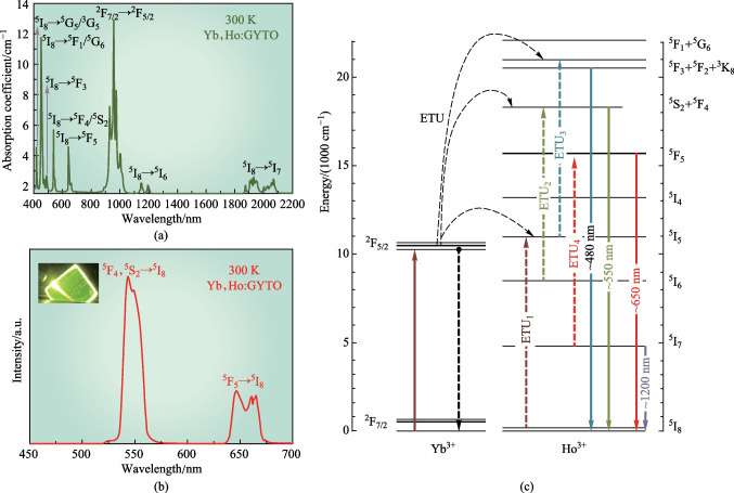 Upconversion luminescence and optical thermometry behaviors of Yb<sup>3+</sup> and Ho<sup>3+</sup> co-doped GYTO crystal.