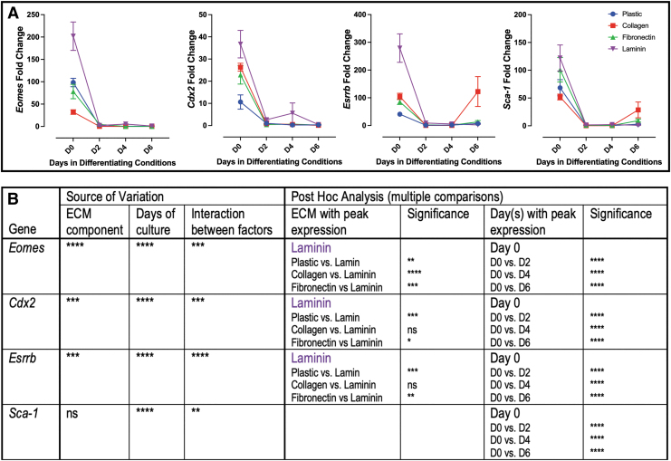 Extracellular Matrix Influences Gene Expression and Differentiation of Mouse Trophoblast Stem Cells.