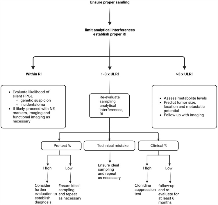 Pheochromocytoma: a changing perspective and current concepts.