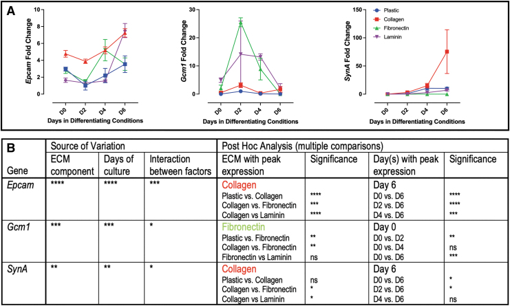 Extracellular Matrix Influences Gene Expression and Differentiation of Mouse Trophoblast Stem Cells.