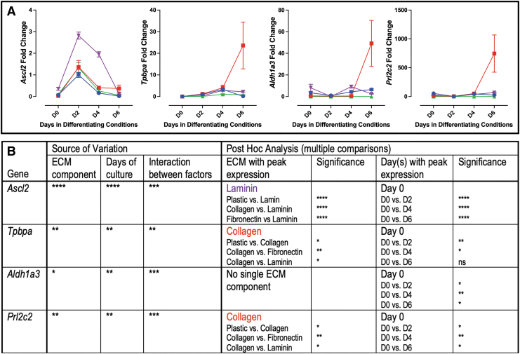 Extracellular Matrix Influences Gene Expression and Differentiation of Mouse Trophoblast Stem Cells.