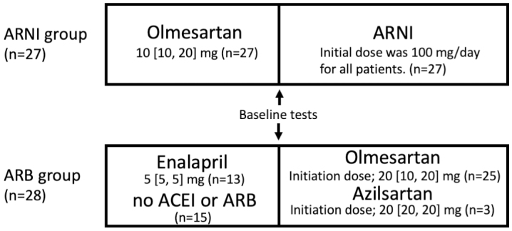 Real-world Practical Experience of Angiotensin Receptor-neprilysin Inhibitor in Older Japanese Patients with Chronic Heart Failure.