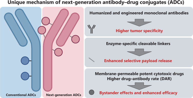 Next-generation antibody-drug conjugates revolutionize the precise classification and treatment of HER2-expressing breast cancer.