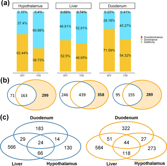 The mRNA-lncRNA landscape of multiple tissues uncovers key regulators and molecular pathways that underlie heterosis for feed intake and efficiency in laying chickens.