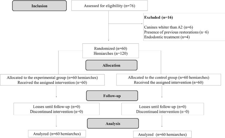 In-office dental bleaching in adolescents using 6% hydrogen peroxide with different application tips: randomized clinical trial.