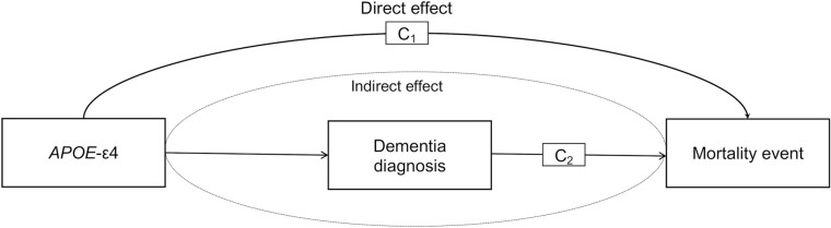 Polygenic Propensity for Longevity, APOE-ε4 Status, Dementia Diagnosis, and Risk for Cause-Specific Mortality: A Large Population-Based Longitudinal Study of Older Adults.