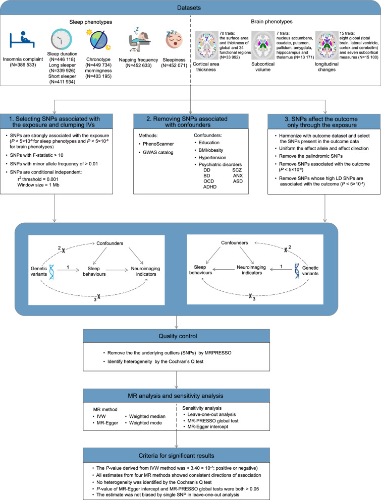 Causal associations between sleep traits and brain structure: a bidirectional Mendelian randomization study.