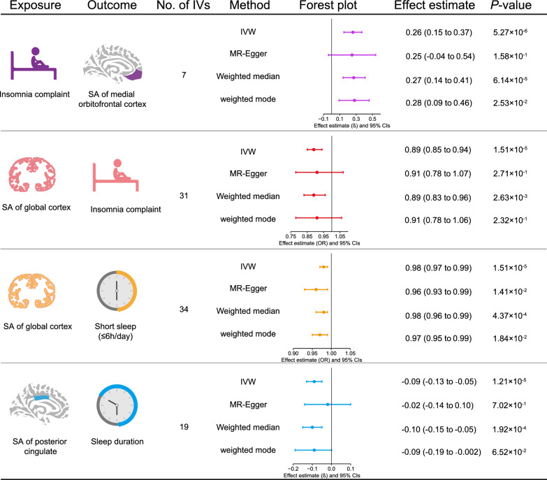 Causal associations between sleep traits and brain structure: a bidirectional Mendelian randomization study.