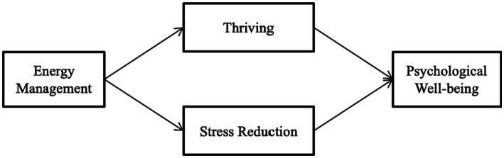 Enhancing psychological well-being of school teachers in India: role of energy management, thriving, and stress.