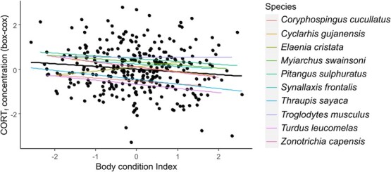 Birds living near airports do not show consistently higher levels of feather corticosterone.