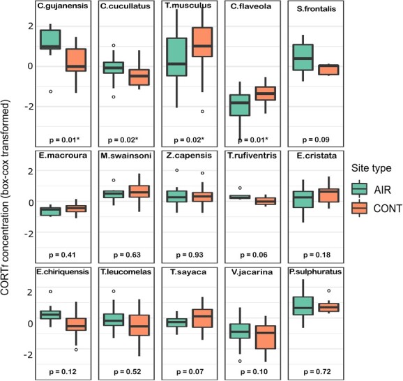 Birds living near airports do not show consistently higher levels of feather corticosterone.