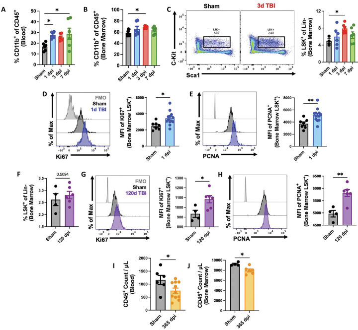 The brain-bone marrow axis and its implications for chronic traumatic brain injury.