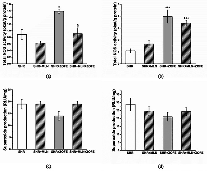 The effect of zofenopril on the cardiovascular system of spontaneously hypertensive rats treated with the ACE2 inhibitor MLN-4760.