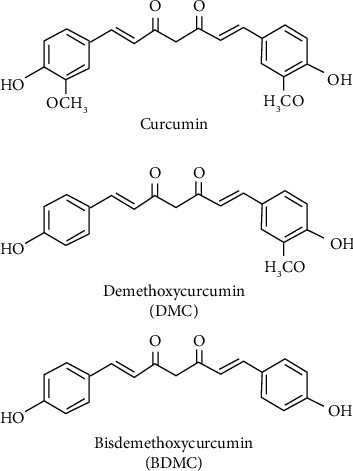 Assessment of Safety Profile of Activated Curcumin C3 Complex (AC<sup>3</sup>®), Enriched Extract of Bisdemethoxycurcumin from the Rhizomes of <i>Curcuma longa</i>.