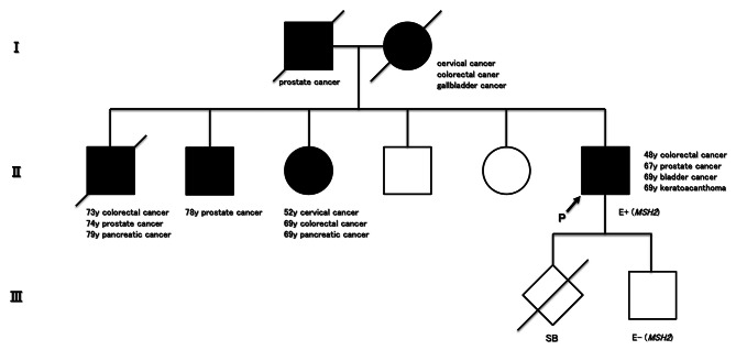 The prevalence of lynch syndrome (DNA mismatch repair protein deficiency) in patients with primary localized prostate cancer using immunohistochemistry screening.