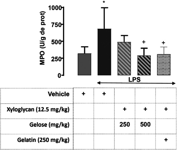 Effect of xyloglucan associations with gelatin or gelose on Escherichia coli-derived lipopolysaccharide-induced enteritis in rats.