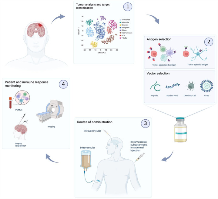 Cancer vaccine strategies for the treatment of diffusely infiltrating gliomas.