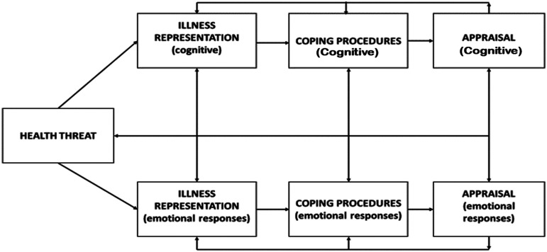 Self-regulatory coping among community dwelling older adults with multiple chronic conditions.