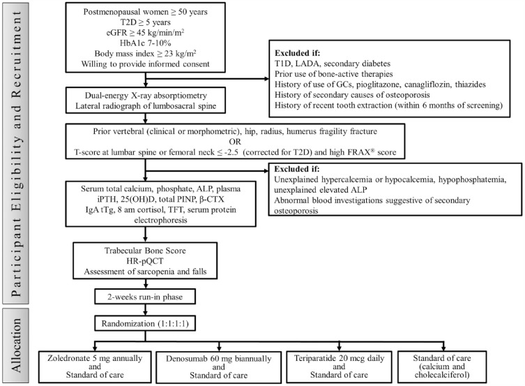 Efficacy of zoledronate, denosumab or teriparatide in postmenopausal women with type 2 diabetes mellitus at high risk of fragility fractures: protocol of an open, blinded endpoint randomized controlled pilot trial.