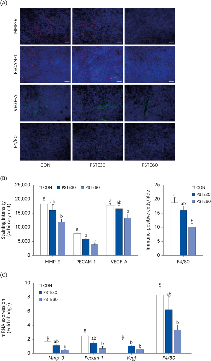 Peanut sprout tea extract inhibits lung metastasis of 4T1 murine mammary carcinoma cells by suppressing the crosstalk between cancer cells and macrophages in BALB/c mice.