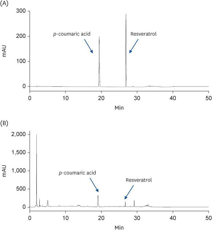 Peanut sprout tea extract inhibits lung metastasis of 4T1 murine mammary carcinoma cells by suppressing the crosstalk between cancer cells and macrophages in BALB/c mice.