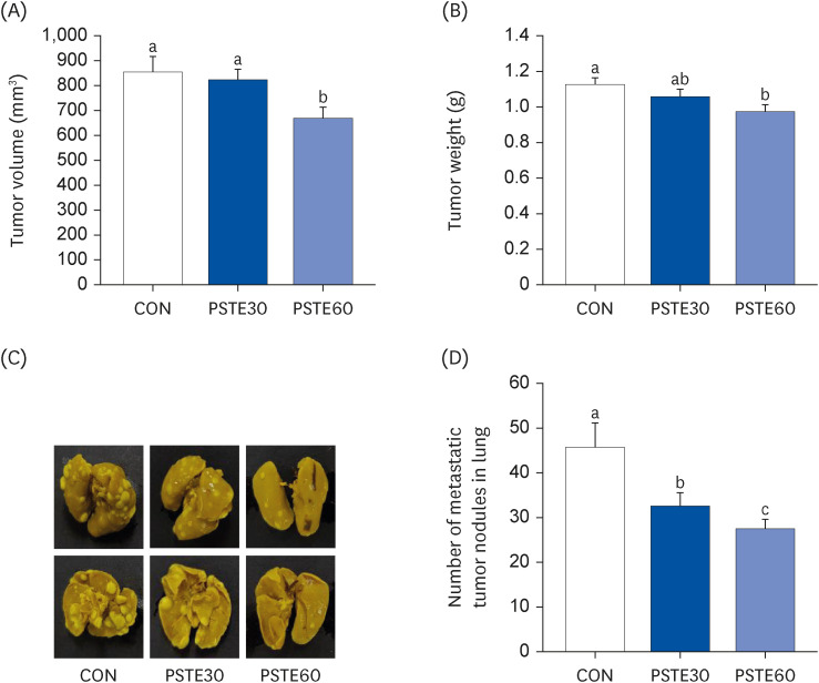 Peanut sprout tea extract inhibits lung metastasis of 4T1 murine mammary carcinoma cells by suppressing the crosstalk between cancer cells and macrophages in BALB/c mice.