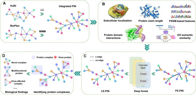 HPC-Atlas: Computationally Constructing A Comprehensive Atlas of Human Protein Complexes