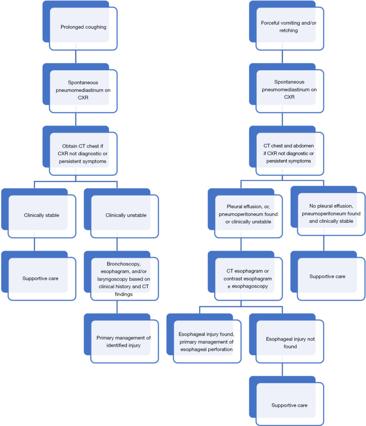 A clinical review of spontaneous pneumomediastinum.