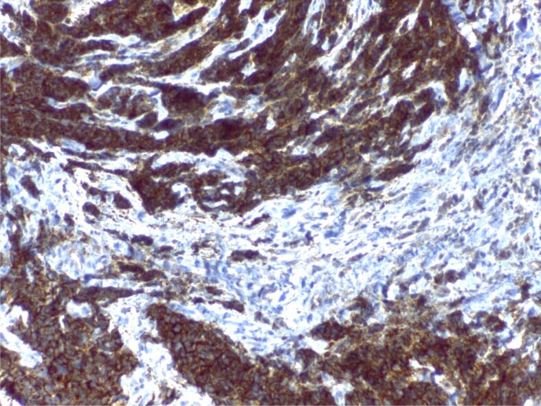 Abstract Image