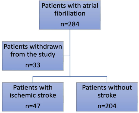 Factors Associated with Stroke in Atrial Fibrillation. A Retrospective Study.