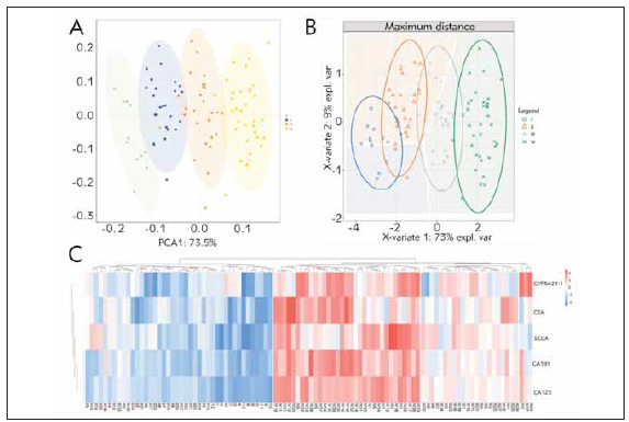 Difference of serum tumor markers in different clinical stages of elderly patients with non-small cell lung cancer and evaluation of diagnostic value.