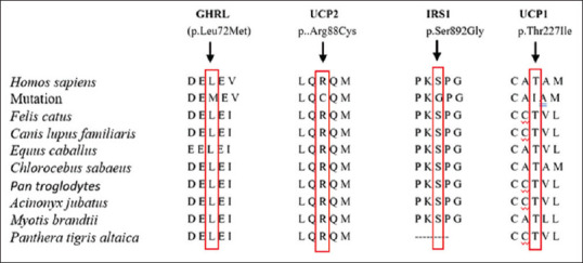 Whole Exome Sequencing Reveals Rare Variants in Genes Associated with Metabolic Disorders in Women with PCOS.