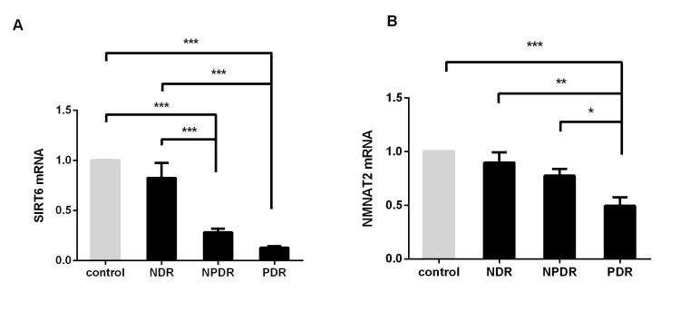 Downregulation of SIRT6 and NMNAT2 is associated with proliferative diabetic retinopathy.