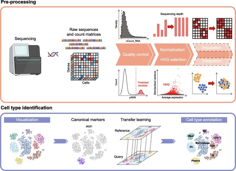 Decoding Human Biology and Disease Using Single-cell Omics Technologies