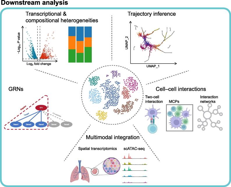 Decoding Human Biology and Disease Using Single-cell Omics Technologies