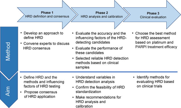 Patient Assessment and Therapy Planning Based on Homologous Recombination Repair Deficiency