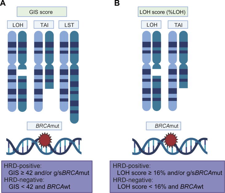Patient Assessment and Therapy Planning Based on Homologous Recombination Repair Deficiency