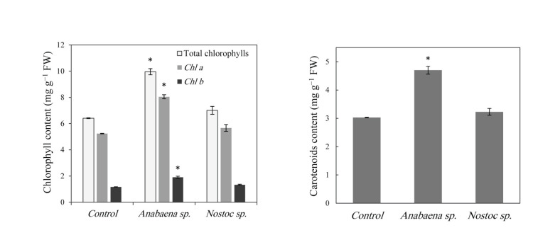 Enhancement of Essential Oil Production and Expression of Some Menthol Biosynthesis-Related Genes in <i>Mentha piperita</i> Using Cyanobacteria.