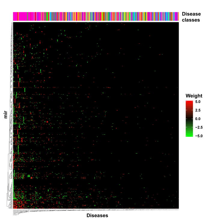 MicroRNA–disease Network Analysis Repurposes Methotrexate for the Treatment of Abdominal Aortic Aneurysm in Mice