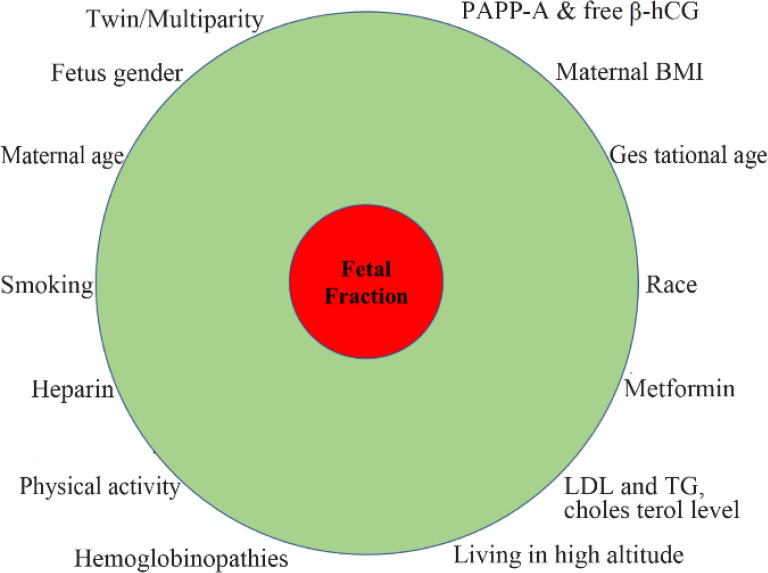 Maternal and Fetal Factors Affecting Cell-Free Fetal DNA (cffDNA) Fraction: A Systematic Review.